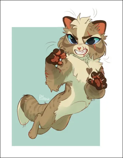 Quel chat n'existe pas ?