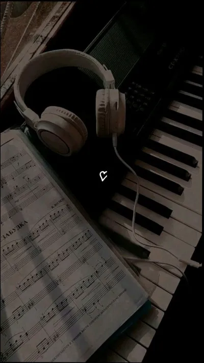 Quel type de musique te correspond le mieux ?