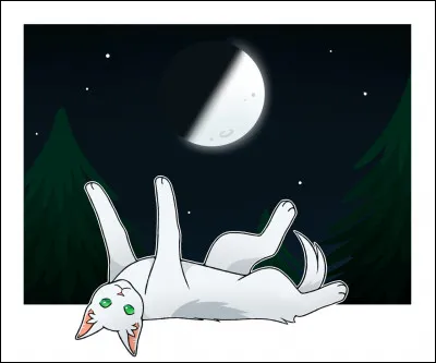 Aile Rousse devient ancienne.