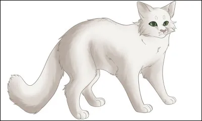 Qui a été son apprenti ?