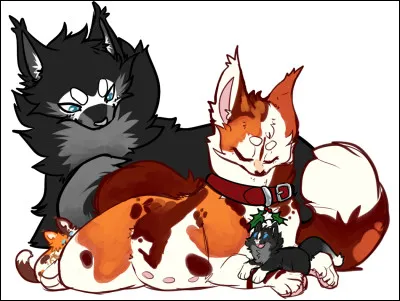 Mais avant, comme tout le monde sait, Aile Rousse a changé de Clan pour arriver à celui du Vent avec sa famille. Avant, ils étaient...