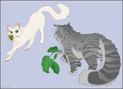 Qui a été son partenaire ?