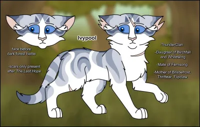 Comment pourrait-on décrire Aile Rousse ?