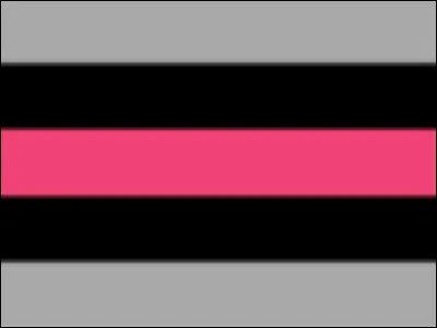 Qu'est-ce qu'une personne allosexuelle ?