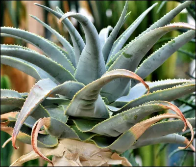 À visiter en matinée.