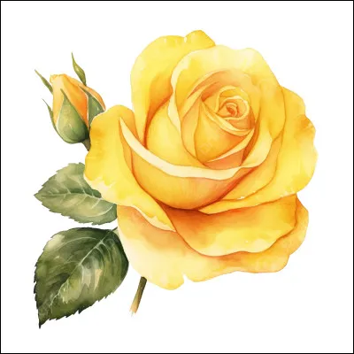 De quelle couleur est cette fleur, ou la nuance ?