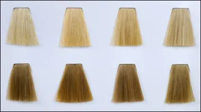 Comment se dit le blond ?