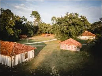 Je vous propose de partir à la découverte de l'écomusée de Marquèze, à Sabres. Commune de l'arrondissement de Mont-de-Marsan, elle se situe dans l'ex région ...