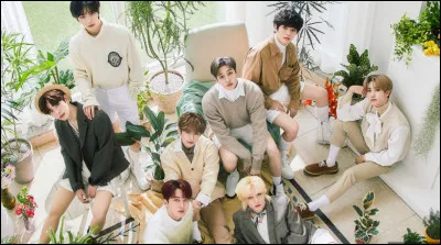 Quelle est ta qualité ?