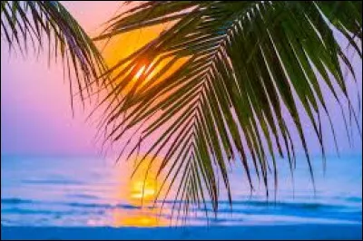 Combien de pattes la fourmi a-t-elle ?