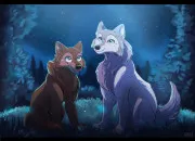 Test Quel serait ton nom de loup ?