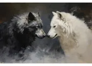 Test Quel est ton animal totem invers ?