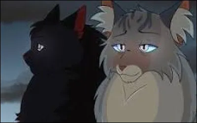 Accepterais-tu de commencer des rendez-vous avec un matou du Clan de la Rivière que tu ne connais pas beaucoup ?