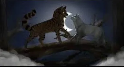 Quelles sont tes ambitions ?