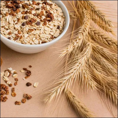 Comment s'appelle la partie protéique de la farine des céréales ?