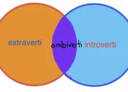 Test Es-tu introverti, extraverti ou ambiverti ?