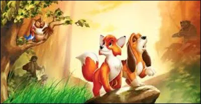 Dans le film Disney "Rox et Rouky", qui est le chien ?