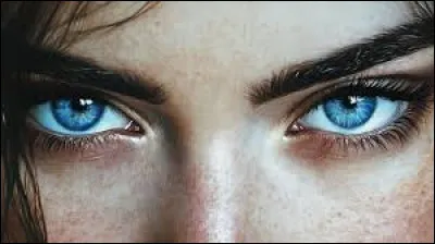 Qui a chanté "Elle a les yeux revolver" ?