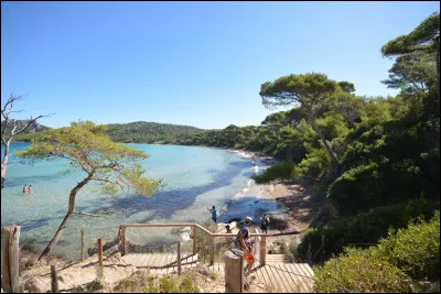 Quel titre a été décerné à la plage de Notre-Dame, située sur l'île de Porquerolles ?