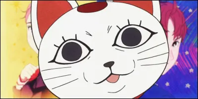 Et que vont-ils y faire ?