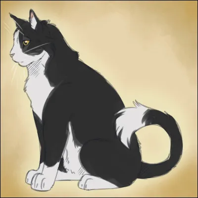 Coche les éléments qui la représente.