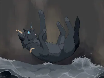 Baie de Ronce pense que le choix de Lune Bleue à propos de l'abandon de ses petits est mauvais.