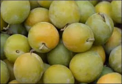 Quelle reine de France a donné son nom à un fruit ?