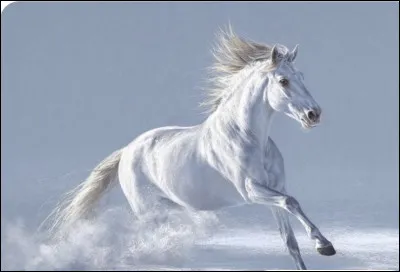 Quelle robe veux-tu ? (1/2)