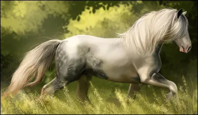 Quelle robe veux-tu ? (2/2)