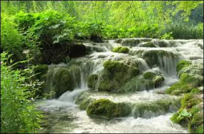 Mon voisin Laurent vient de changer de voiture, il a acheté une Renault qu'en pensez-vous ?
