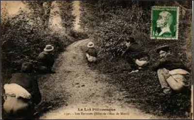 De quelle plante la culture devrait être interdite ?