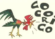 Quiz Cocorico en CO