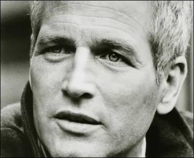 Qui est cet acteur qui joue le rôle principal dans le film ''La Toile d'araignée'' ?