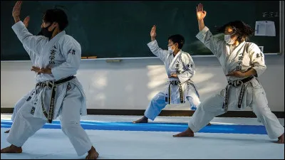 Quel est le pays d'origine du karaté ?