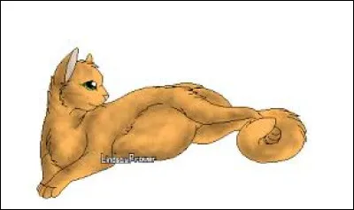 Si ta s�ur &eacute;tait enceinte de chatons interdits, que ferais-tu ?