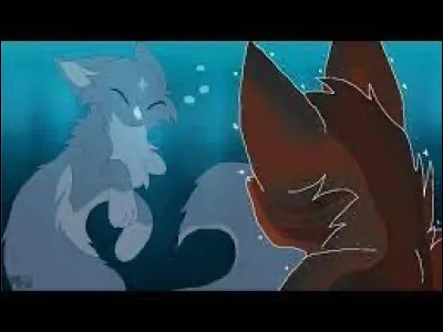 Si tu aimes un chat d�un autre clan, comment r&eacute;agis-tu ?