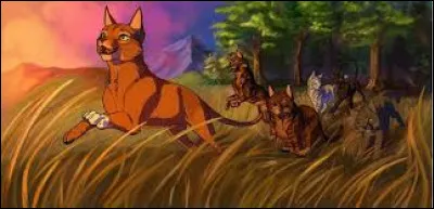 Si tu pars en voyage et que tu d&eacute;couvres qu�un chat crushe sur toi, que fais-tu ?