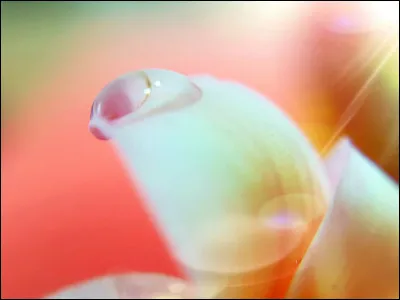 À quoi fais-tu le plus attention ?