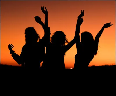 D'après toi, quel animal te décrirait le mieux ?