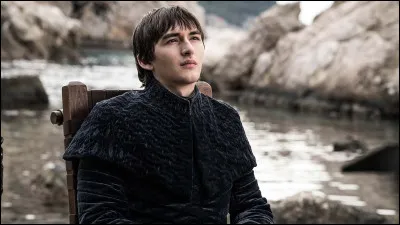 Qui est Bran Stark ?