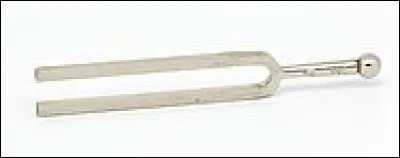 En jours, combien dure la gestation d'une girafe ?