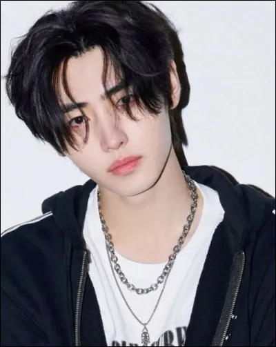 Dans quel groupe K-pop est Sunghoon ?