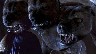 Comment s'appelle le chien à 3 têtes qui garde la pierre philosophale ?