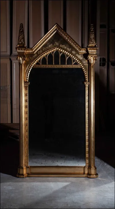 Que voit Ron Weasley dans le miroir du Risèd ?