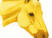 Quiz Galop 3 - La tte