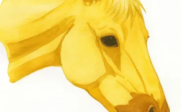 Quiz Galop 3