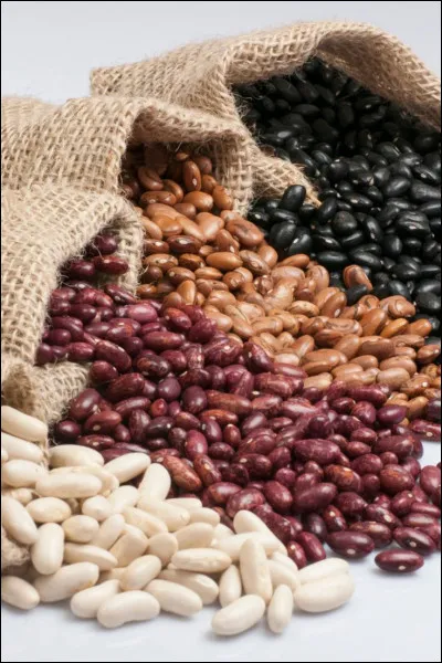 Les haricots crus peuvent être toxiques pour l'homme.
