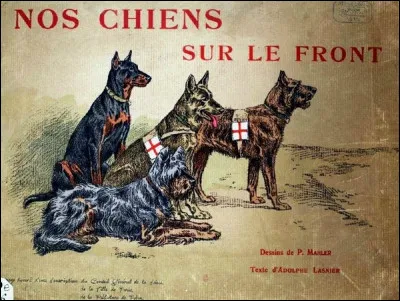 Quel était le chiffre des chiens participants, durant la Première Guerre mondiale ?