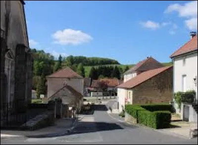 Nous partons en Lorraine, à Midrevaux. Village de l'aire d'attraction Néocastrienne, sur les bords de la Saônelle, il se situe dans le département ...