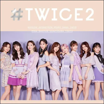 En quelle année le groupe a-t-il débuté officiellement ?